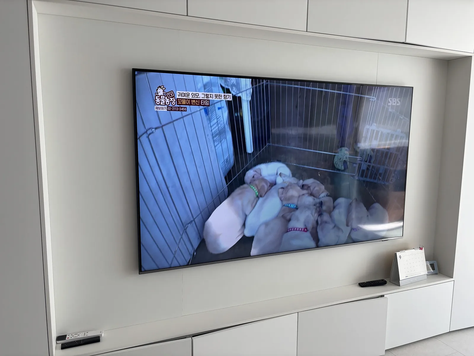 부자TV 벽걸이TV 시공 사진 — 촬영 현장 성북구 삼선동 — 타공 · 삼성 65인치 · 매립장 · 반매립장